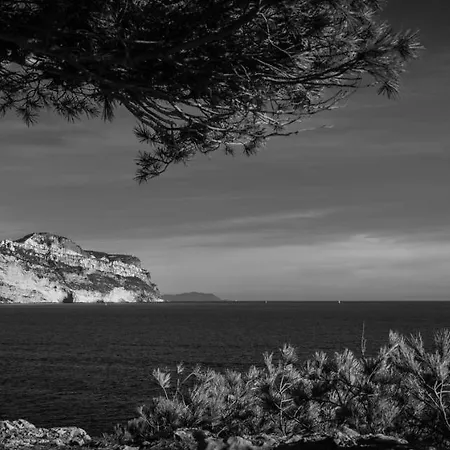 Le Vallat Vue Terrasse Privative Jacuzzi Barbecue Calanques 아파트 카시스